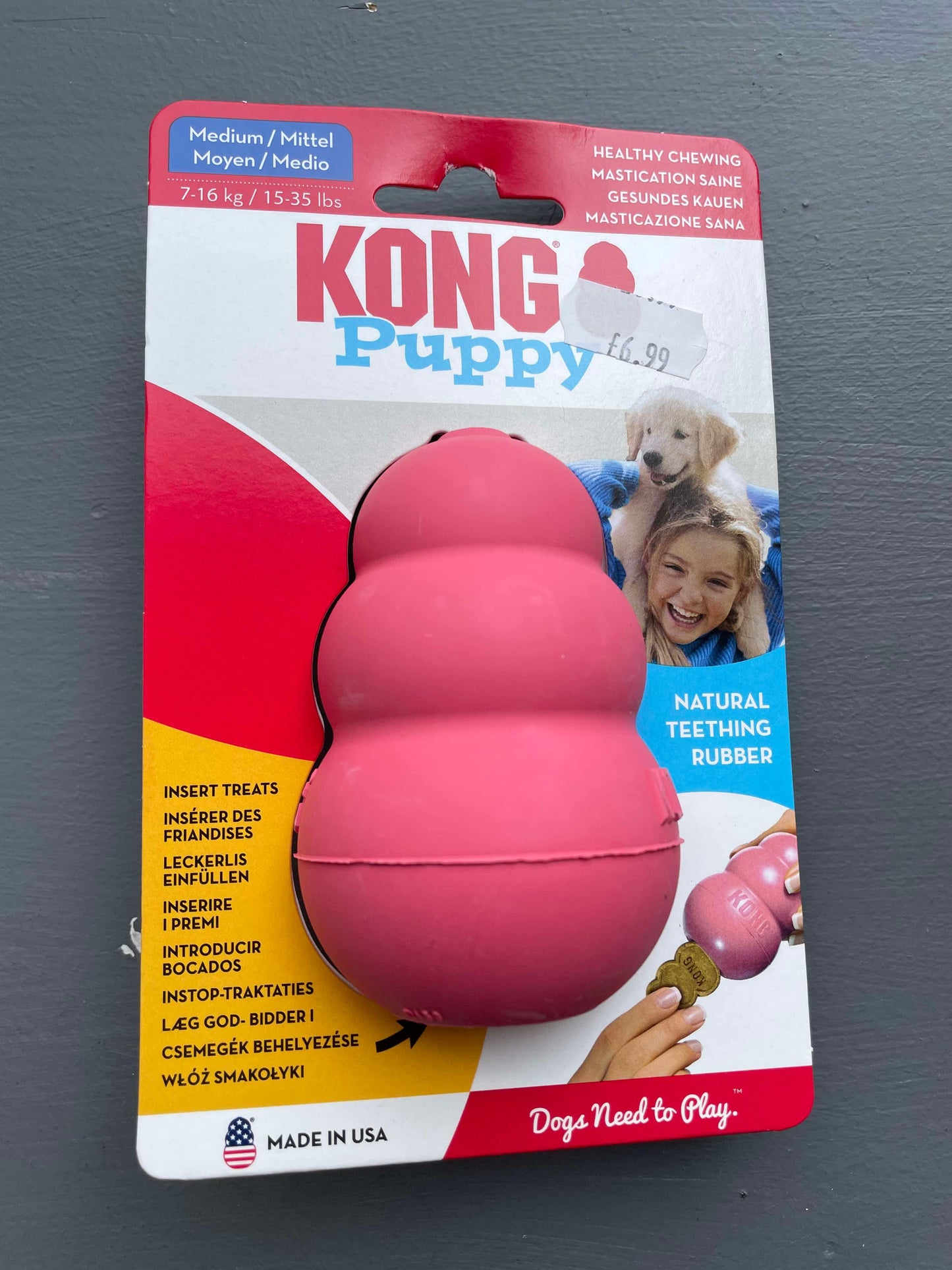 Kong puppy