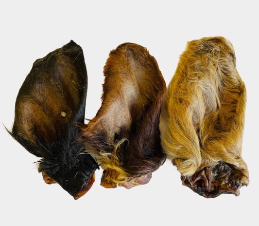 Hairy cow ears