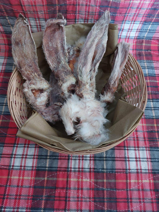 Rabbit Ears