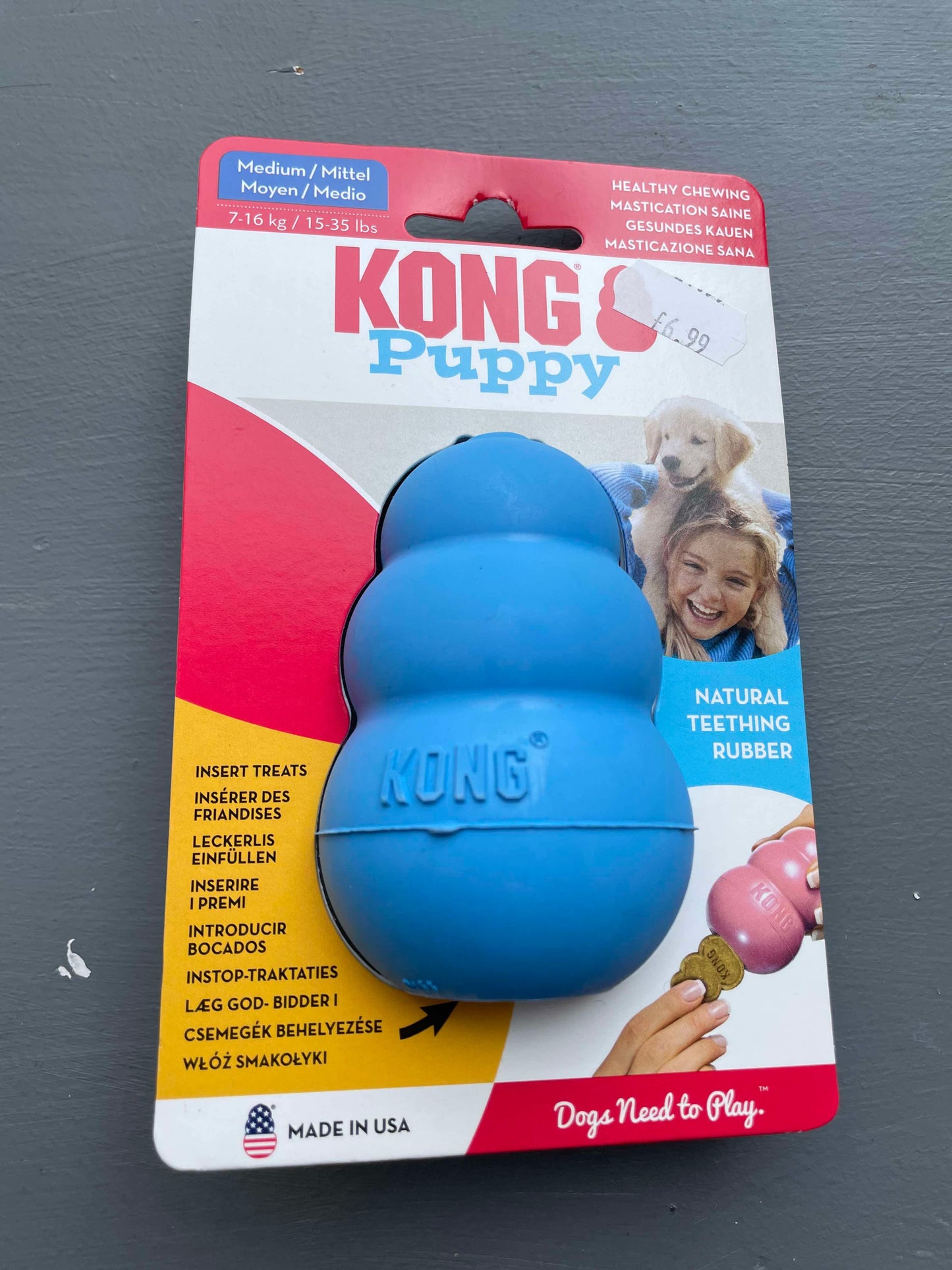 Kong puppy