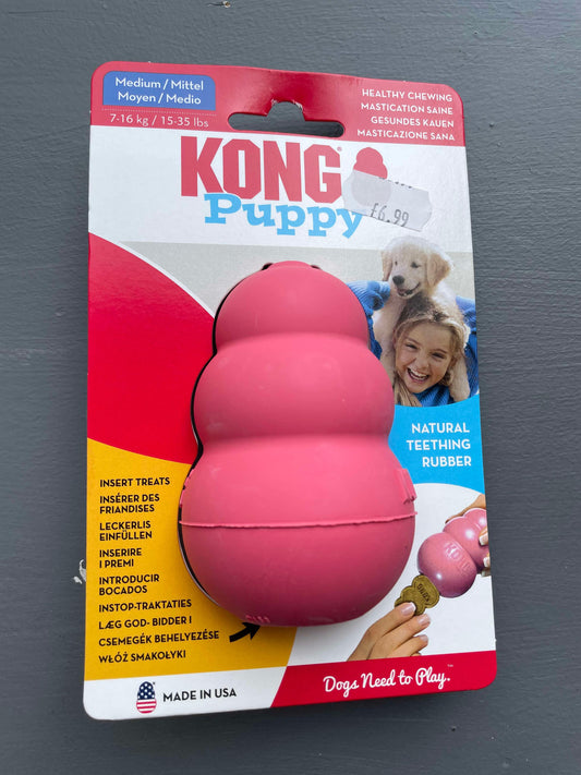 Kong puppy