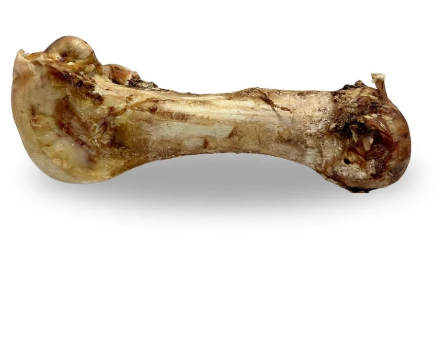 Jumbo ostrich bone