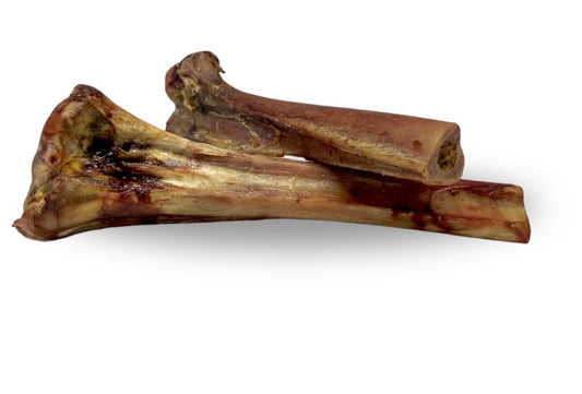 Ostrich bone
